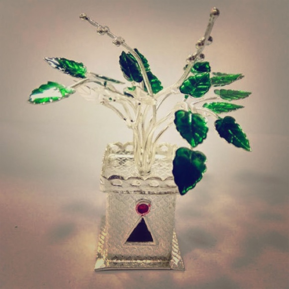 Silver Decoration plant